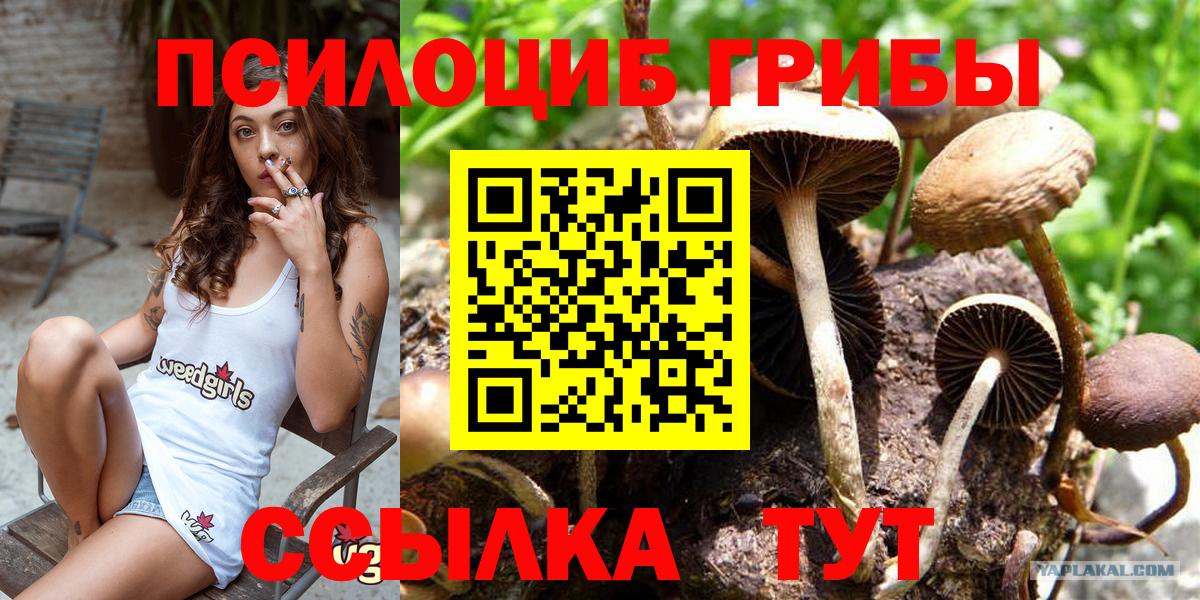 Псилоцибиновые грибы Magic Shrooms  Галлюциногенные грибы GOLDEN TEACHER  Вход с VPN  Красноармейск 