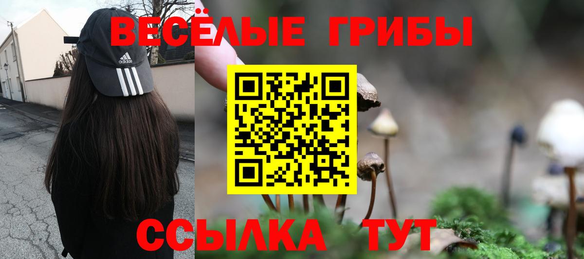 Псилоцибиновые грибы Psilocybine cubensis Красноармейск